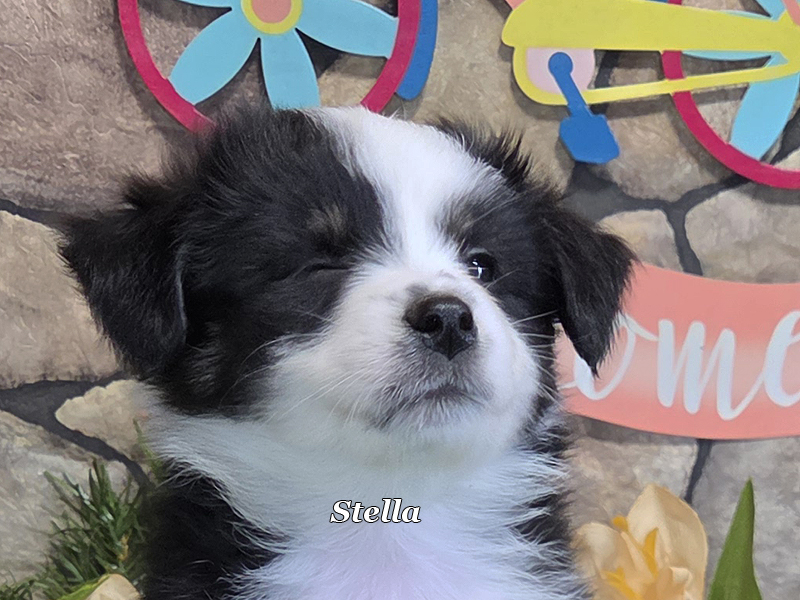 She says she is the pick of the litter with the wink.