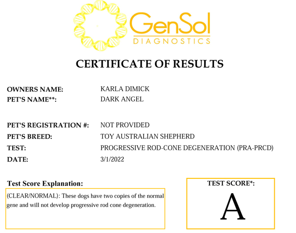 Elmo's Dark Angel @ Shade Tree Aussies PRA test result.