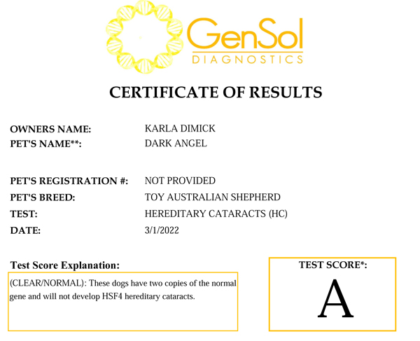 Elmo's Dark Angel @ Shade Tree Aussies HC test result.