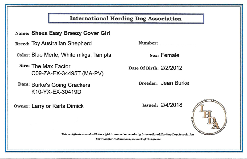 Breezy was registered with 3 registries. IHDA shown here. She was also registered with ASDR and APRI.