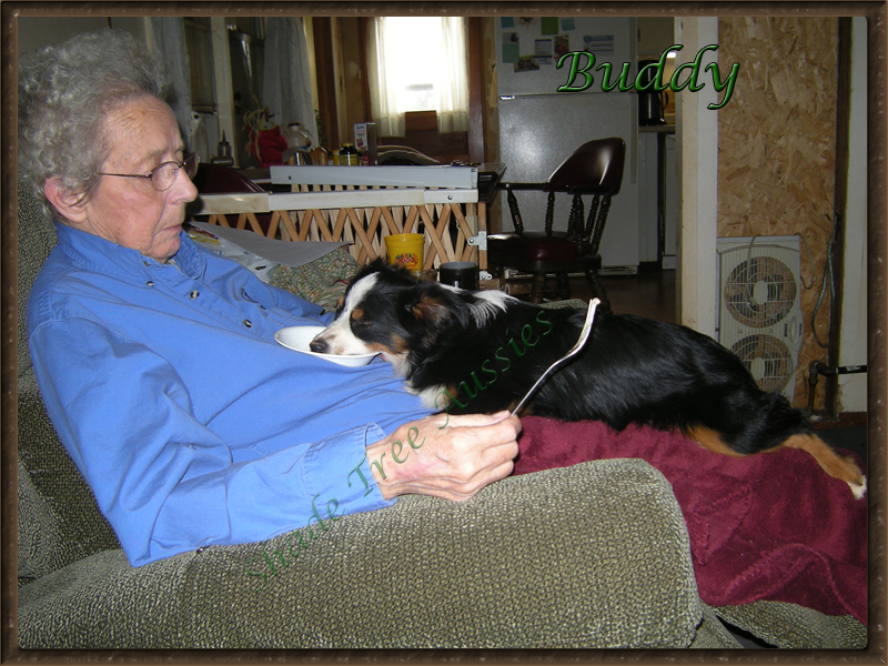 Buddy loved my our Mom and she loved him.