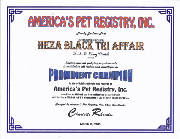 Buddy's APRI Prominent Champion Certificate