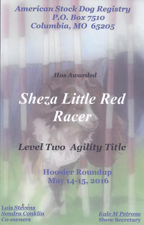 We have not done a lot of Agility with ASDR but she does have a level 2 title.
