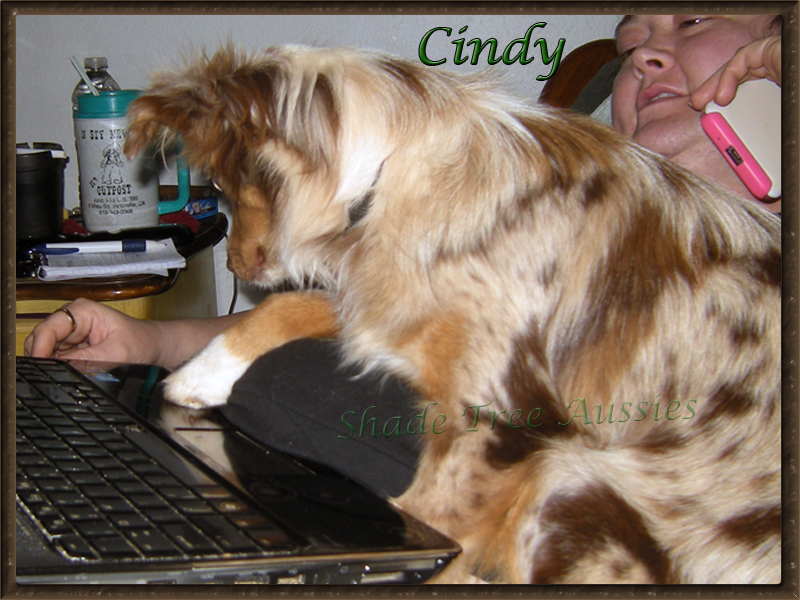 Cindy is always willing to help any human with anything.