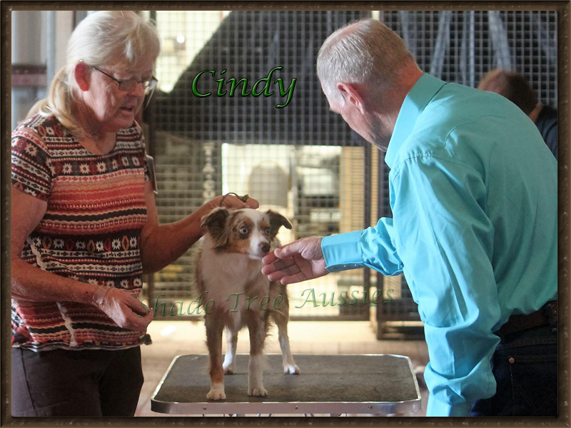 Cindy with Judge Ray Williams in New Mexico where she took Reserve Top Dog.