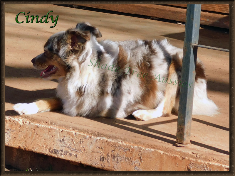 Cindy enjoying a sunny spring morning.