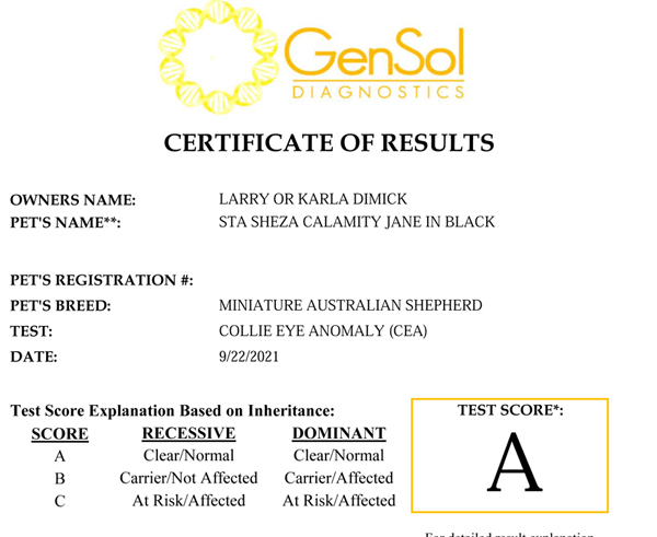CJ's CEA test results