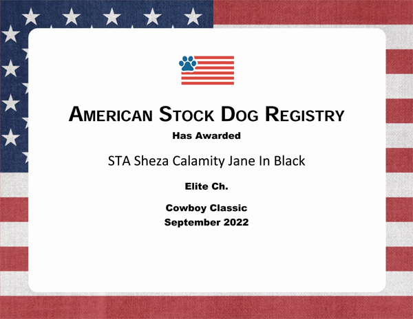 STA Sheza Calamity Jane In Black ASDR Elite Champion