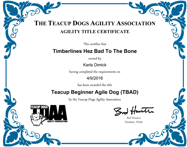 Dozer's Teacup Dog Agility Association TBAD title. 