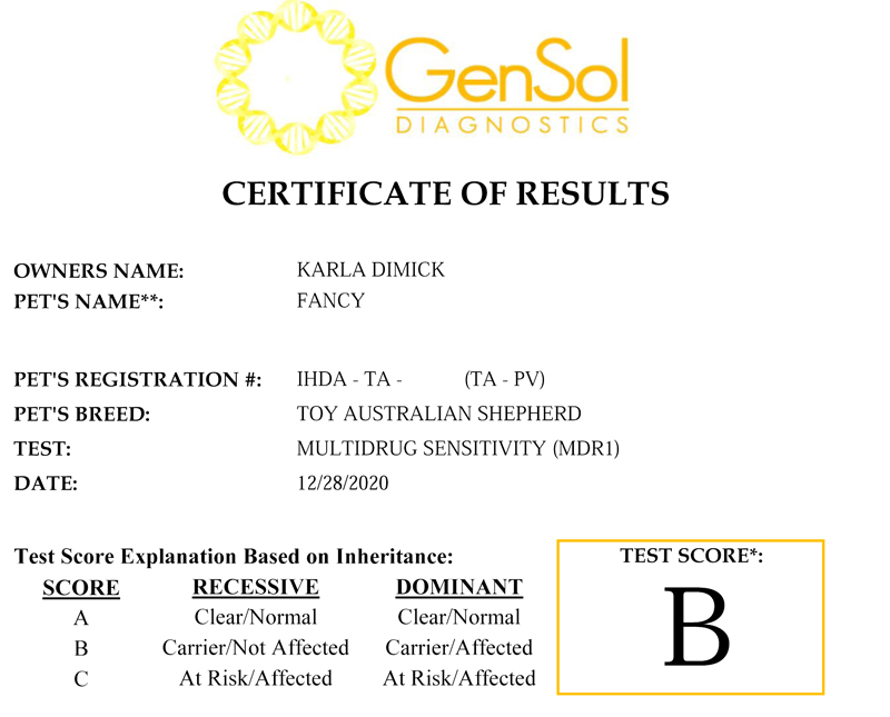 STA Ima Little Bit Fancy's IHDA MDR1 test results.