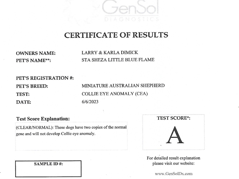 Flame is clear for Collie Eye Anomaly.