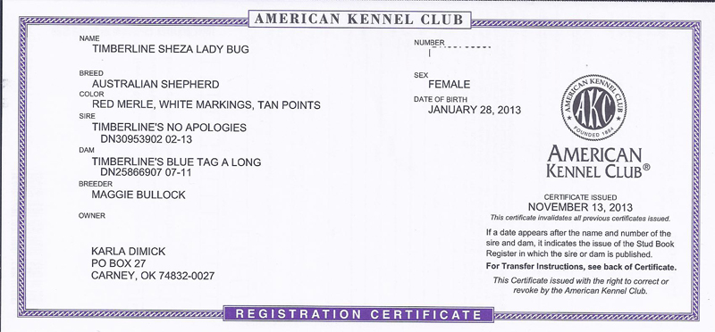 Lady's Bug AKC Registration 