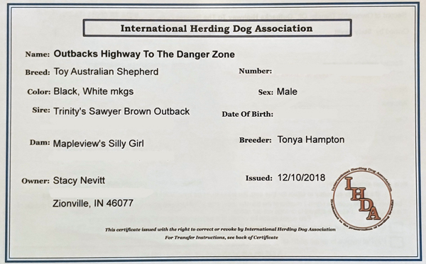 Outbacks Highway To The Danger Zone "Kibo" International Herding Dog Association certificate. 