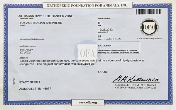 Kibo's Orthopedic Foundation for Animals, Inc hip certification. 