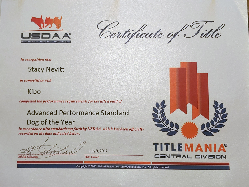 Kibo's United States Dog Agility Association, Inc. Advanced Performance Award from Title Mania, 2017.