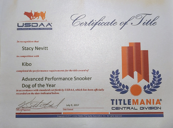 Kibo's United States Dog Agility Association,  Inc. Snooker Award from Title Mania, 2017.