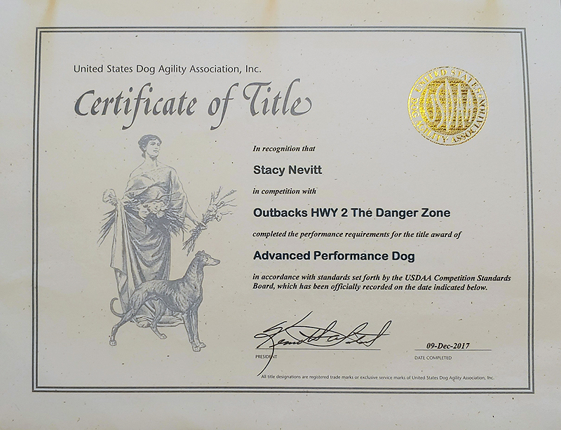 Kibo's United States Dog Agility Association, Inc. Advanced Performance Dog Award.