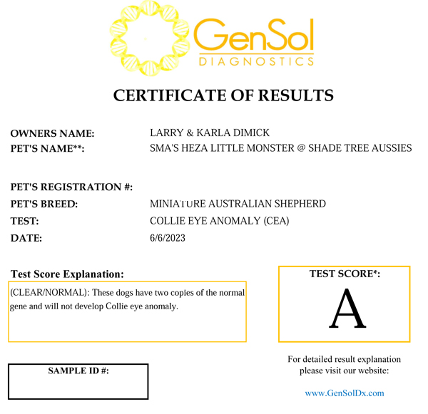 SMA Heza Little Monster @ Shade Tree Aussies CEA test results.