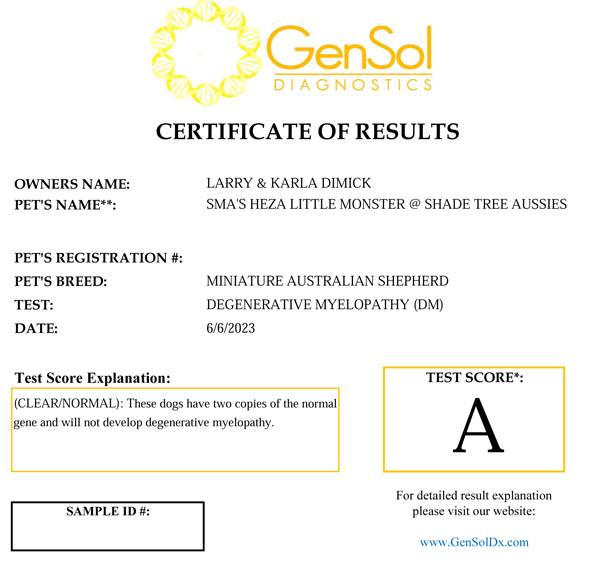 SMA Heza Little Monster @ Shade Tree Aussies DM test results.