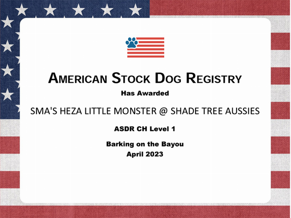 SMA's Heza Little Monster @ Shade Tree Aussies ASDR Champion Certificate 