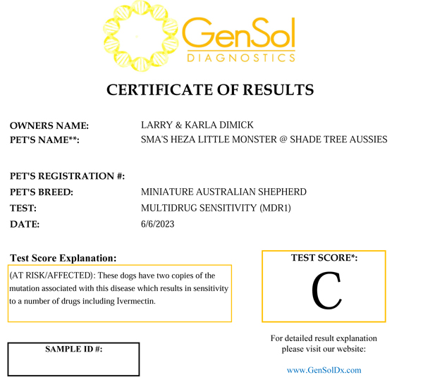 SMA's Heza Little Monster @ Shade Tree Aussies MDR1 test results.