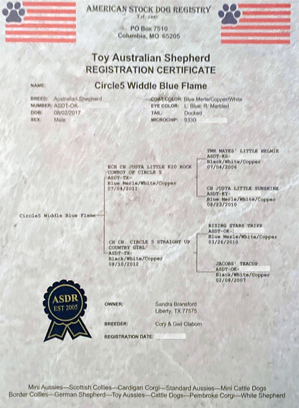 Widdle's ASDR Registration papers 