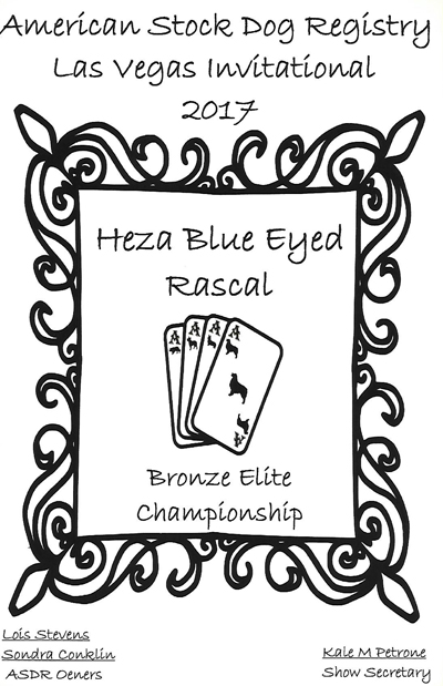 Rascal's Bronze Elite Title from ASDR