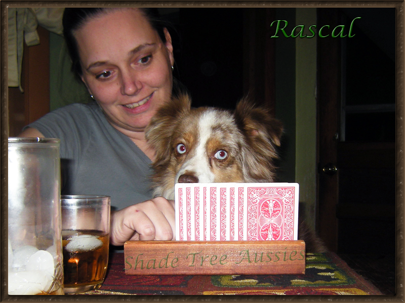 Rascal even enjoys a game of cards.