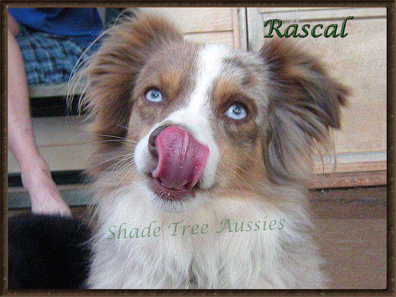 And then there are times Rascal is just plain silly.