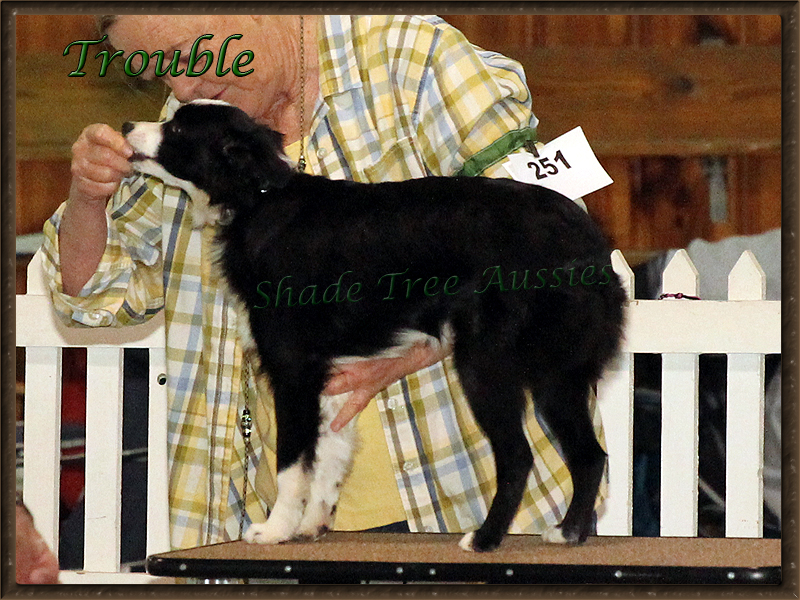 Trouble at the Crawfordsville ASDR show in 2016