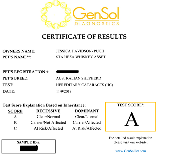 Whiskey's test certificate for HC