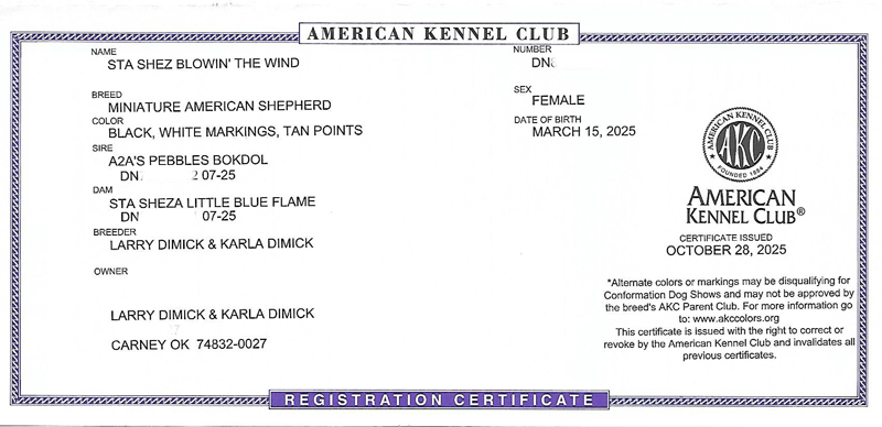 Windy's AKC Registration